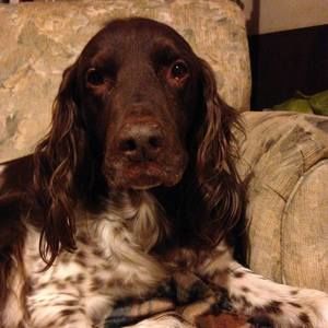 Meet your Posher, Mary jane